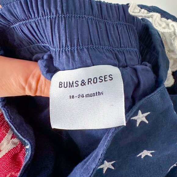 Bums and Roses 4th of July Dress - Picture 12 of 13